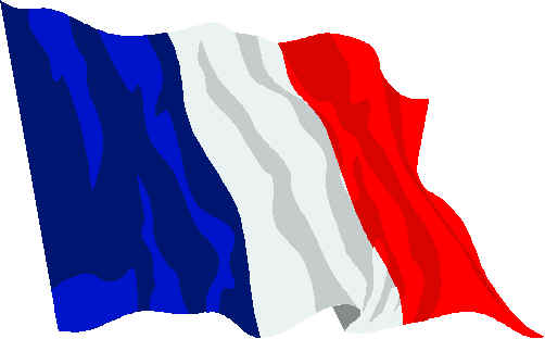 flag of france. France | WISE MONEY